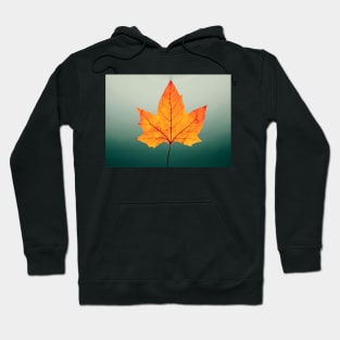 Nature Autumn Hoodie